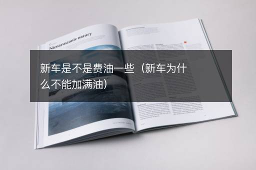 新车是不是费油一些（新车为什么不能加满油）