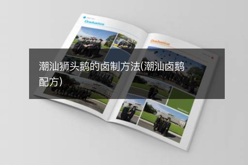 潮汕狮头鹅的卤制方法(潮汕卤鹅配方)