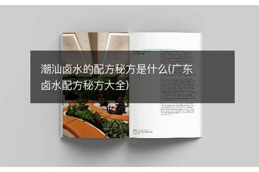 潮汕卤水的配方秘方是什么(广东卤水配方秘方大全)