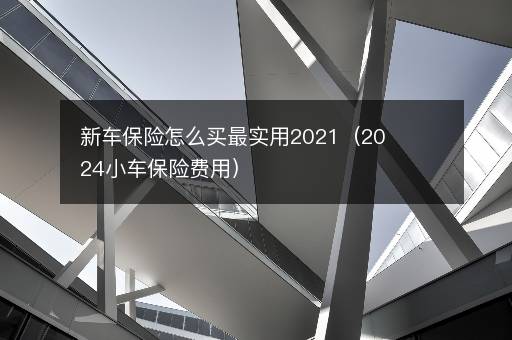 新车保险怎么买最实用2021（2024小车保险费用）