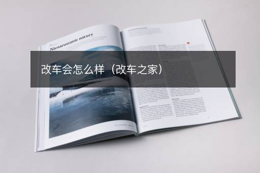 改车会怎么样（改车之家）